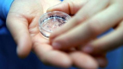 长方案降调过程中的注意事项