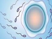 吉林大安可以做三代试管婴儿吗？求子家庭必看！