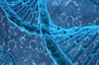 详细解读宜宾市做长方案试管婴儿费用，长方案和短方案成功率有差别吗？