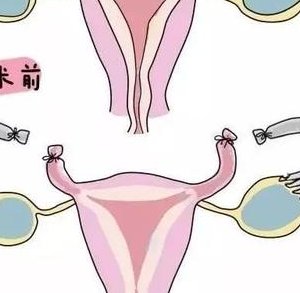 荆州不孕不育医院排名公开，各家机构技术怎么样一目了然